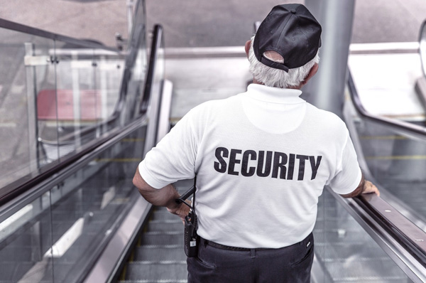 electronic security guard
